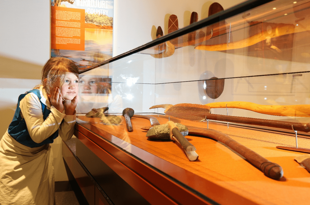 A child looks over a display of Aboriginal weapons and tools exhibited at the Albury LibraryMuseum.
