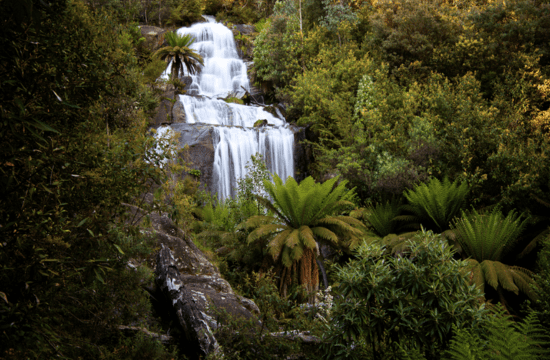 Image of Fainter Falls - waterfall located near Bogong Village Victoria