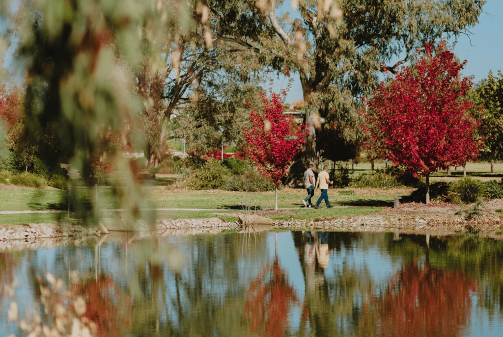 A couple walk around the lake at Belvoir Park, Wodonga, surrounded by Autumn trees. This path is popular with walkers and cyclists.