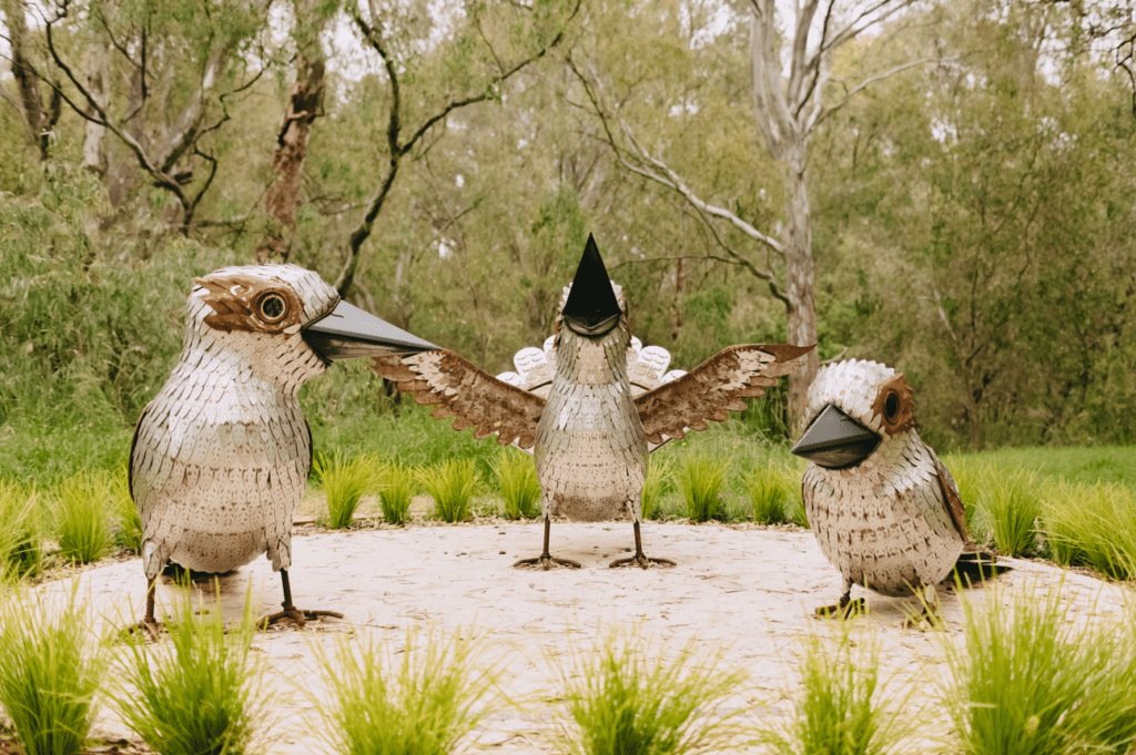 Three large metal kookaburra sculptures are surrounded by bushland on the Yindyamarra Sculpture Walk and Cycle Trail, Albury