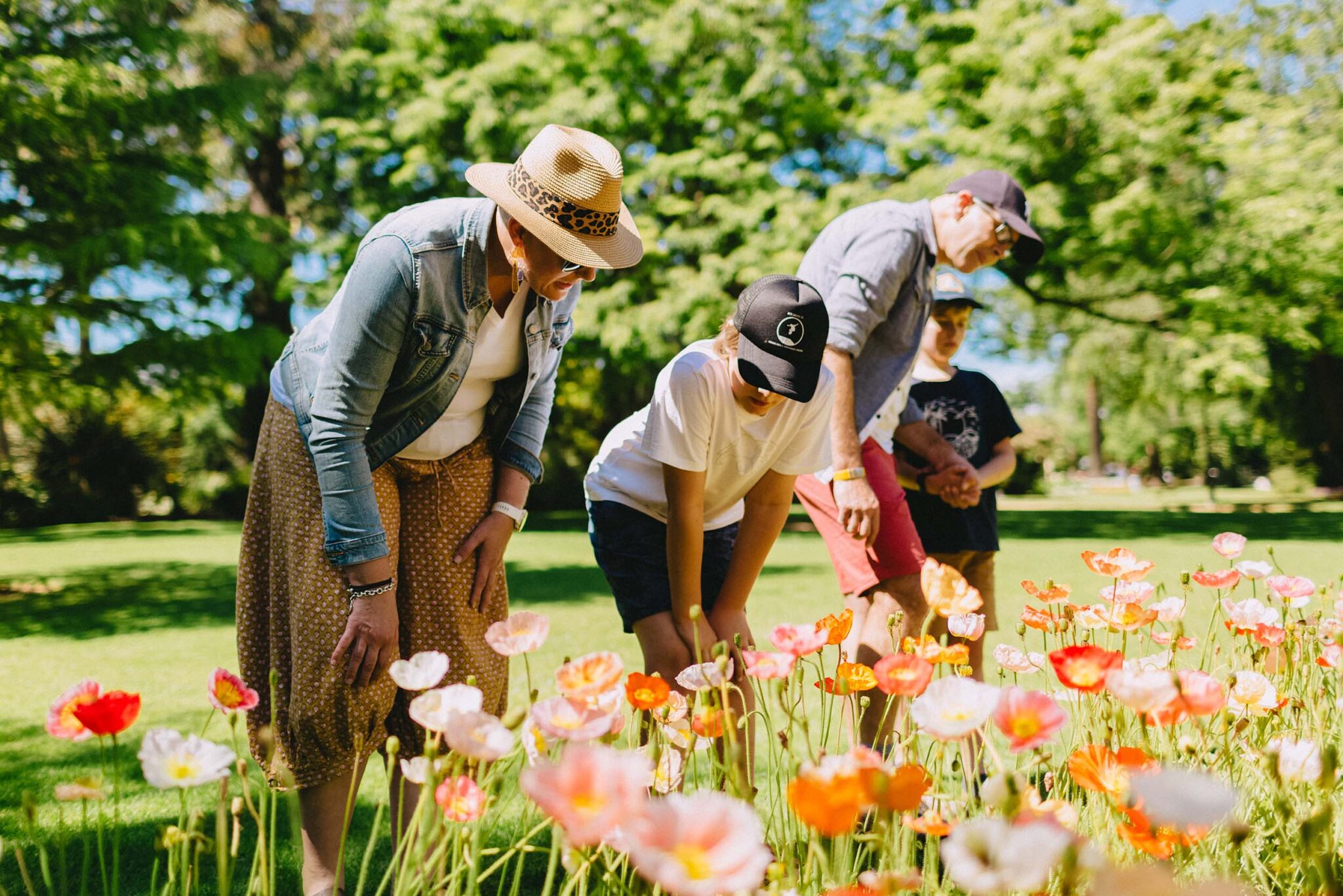 Mum, Dad, and two young boys admire sea of poppies in the Albury Botanic Gardens