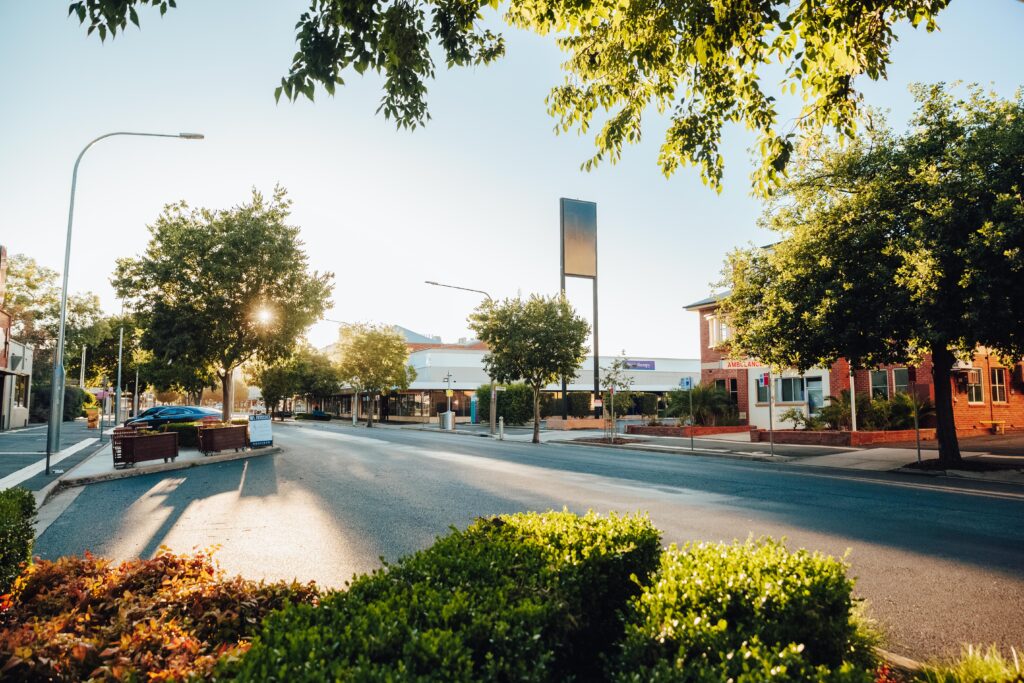 A quiet street scene in Albury Wodonga during a sunny summer morning. The road is lined with lush green trees casting long shadows, and a few parked cars are visible. A red-brick building marked "Ambulance" sits on the right side, while shops and businesses are seen further down the street. The scene is peaceful with golden sunlight filtering through the leaves.