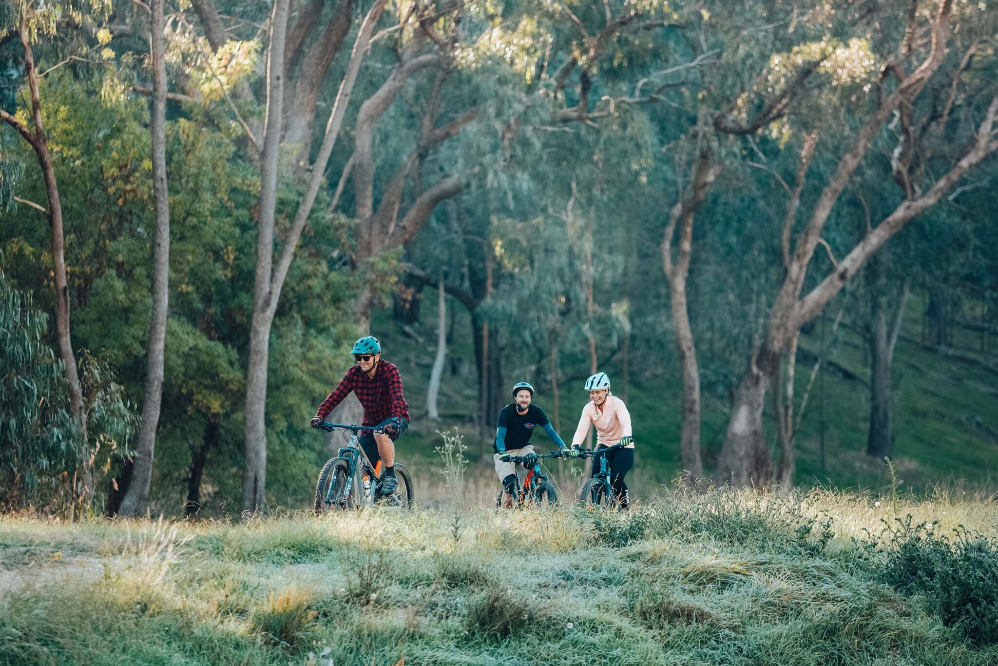Three cyclists ride their mountain bikes on a grassy hill with eucalypt trees in the background