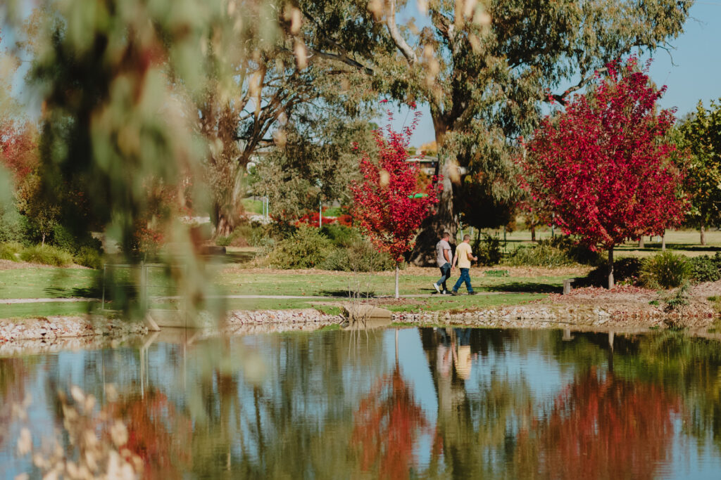 A sunny riverside park scene in Albury Wodonga, with a paved path winding through lush green grass and tall eucalyptus trees. The river glistens in the background, partially shaded by leaning gum trees. The area is quiet and serene, perfect for a walk or relaxing by the water.