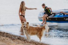 Visit_Albury_Wodonga_Lake_Hume_166-1024x683